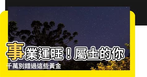 土屬性行業|【屬土的職業】「屬土職業」指南：五行事業運與適合。